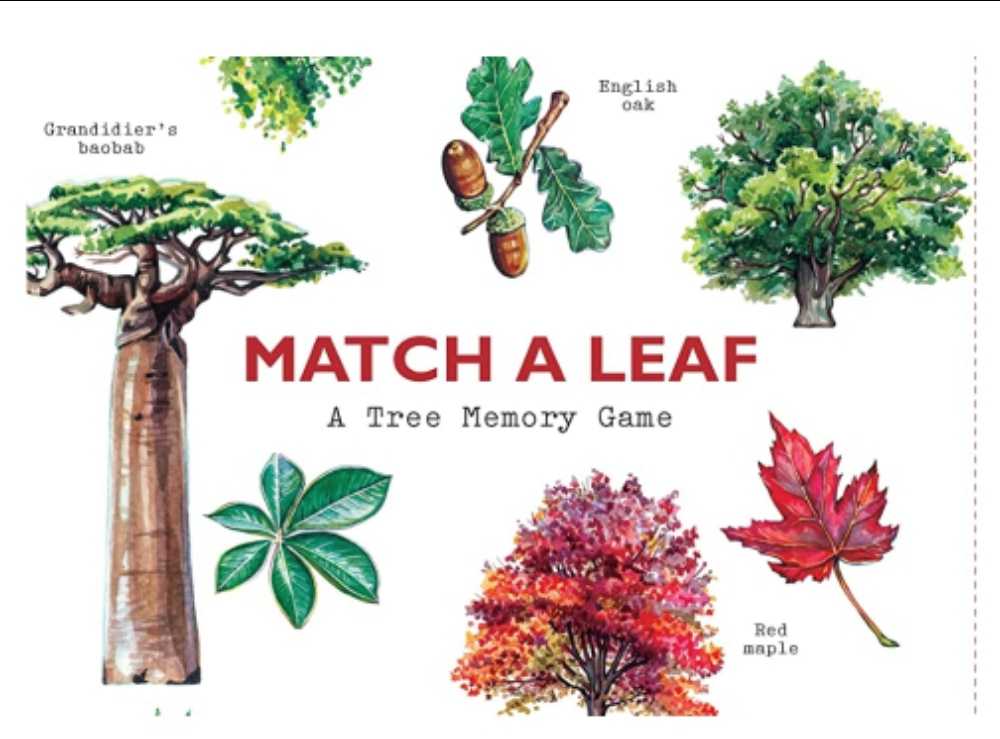 Escape From The Starline Express