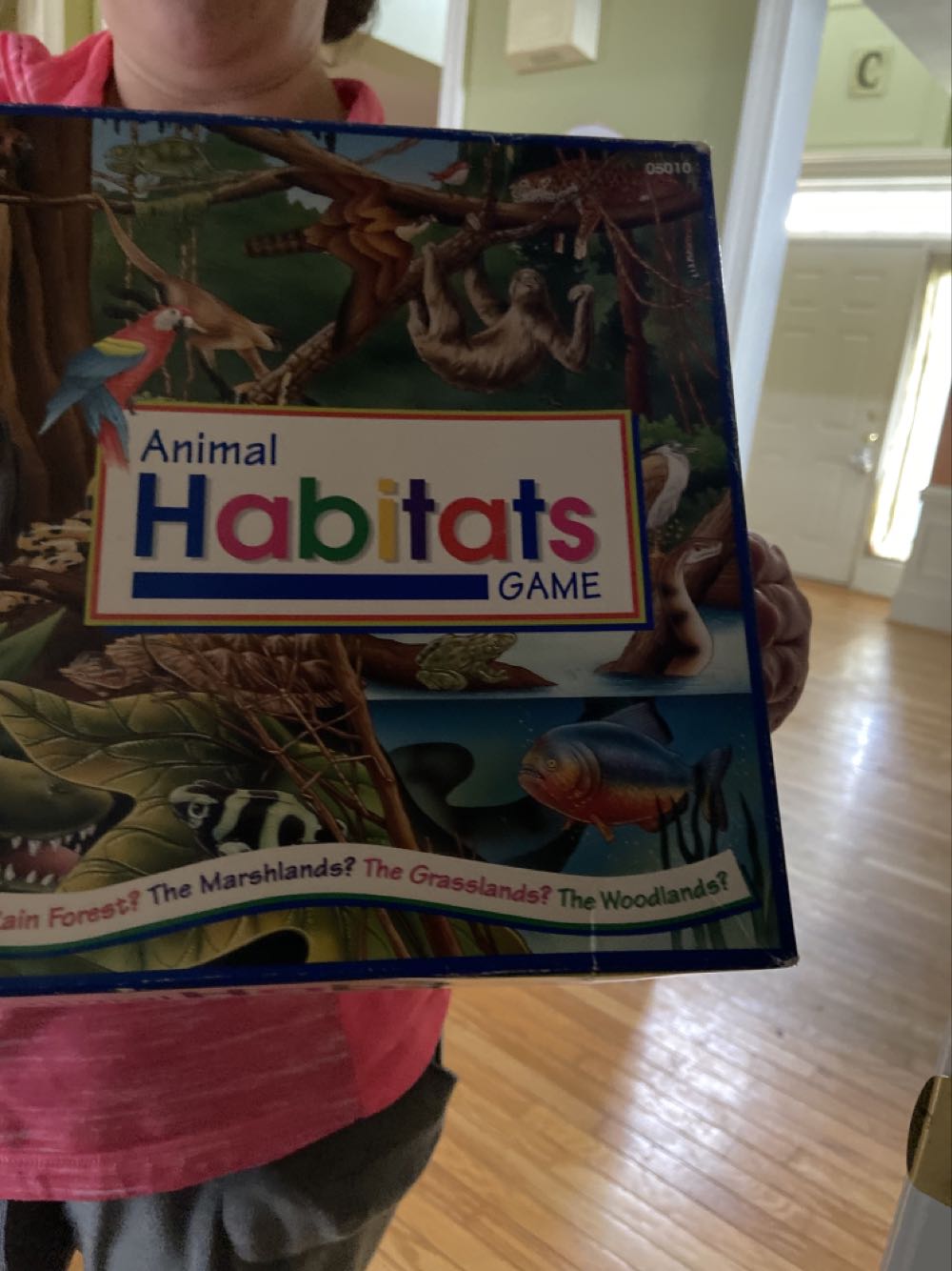 Lookout Games 22160049 - Goa, Spiele