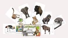 Little Flower Shop: Kickstarter Edition