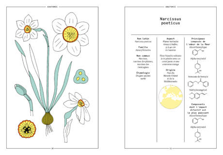 Le Narcisse En Parfumerie Cahiers Des Naturels French Edition  board game collectible [Barcode 9782370630780] - Main Image 3
