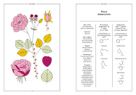 La Rose De Damas En Parfumerie Cahiers Des Naturels French Edition  board game collectible [Barcode 9782370630735] - Main Image 2