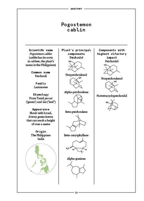 Le Patchouli En Parfumerie Cahiers Des Naturels French Edition  board game collectible [Barcode 9782370630902] - Main Image 4