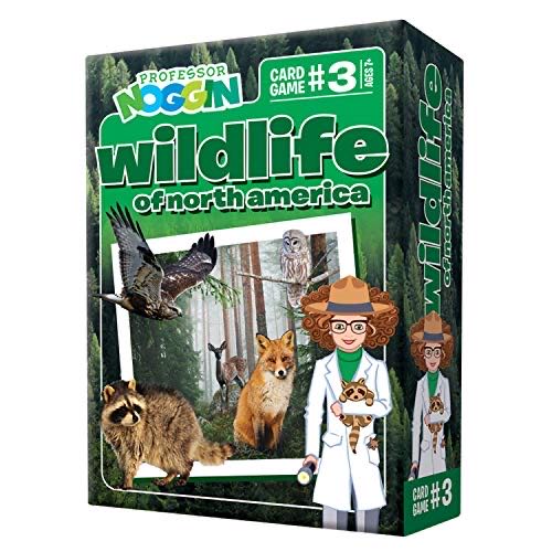 Volkswagon Collectors Edition