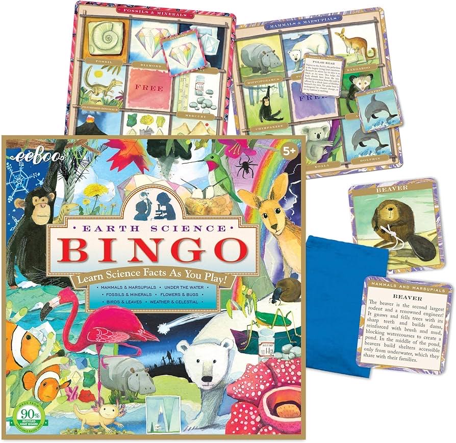 Bingo: Earth Science  (2-6) board game collectible [Barcode 689196505287] - Main Image 2