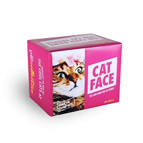 Pitchstorm: Animation Expansion