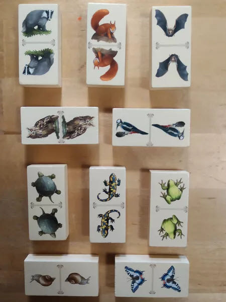 Renature  (2-4) board game collectible [Barcode 850000576209] - Main Image 4