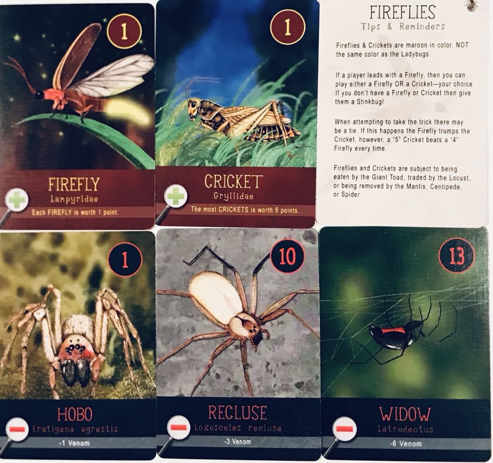 Backyard Bugs: Expansions  (3-5) board game collectible - Main Image 3
