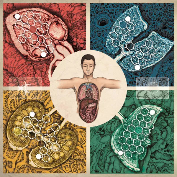 Immune  (1-6) board game collectible [Barcode 672975551711] - Main Image 3