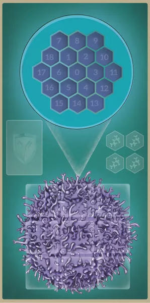 Immune  (1-6) board game collectible [Barcode 672975551711] - Main Image 4