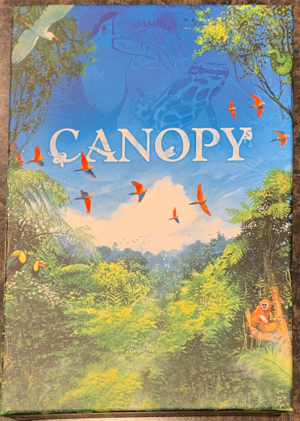 Stop Thief: Electronic Cops And Robbers