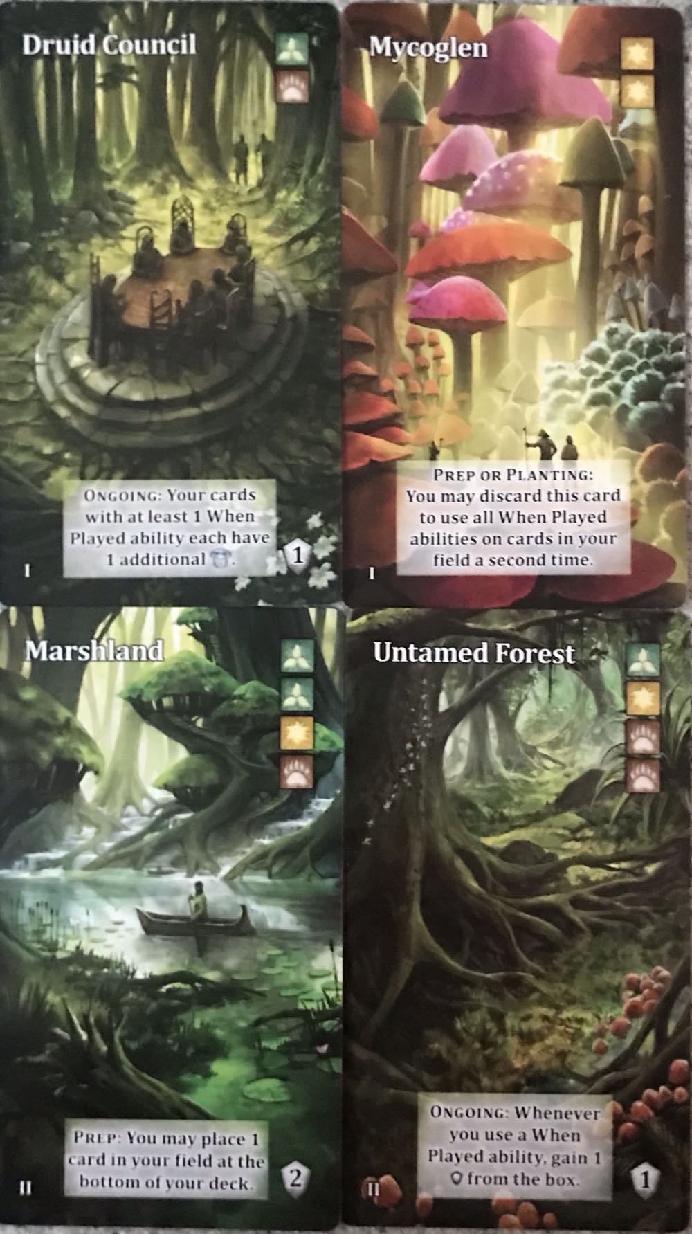 Mystic Vale: Evergreen  (2-4) board game collectible [Barcode 729220070654] - Main Image 3