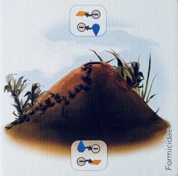 Aggravation Original Deluxe 