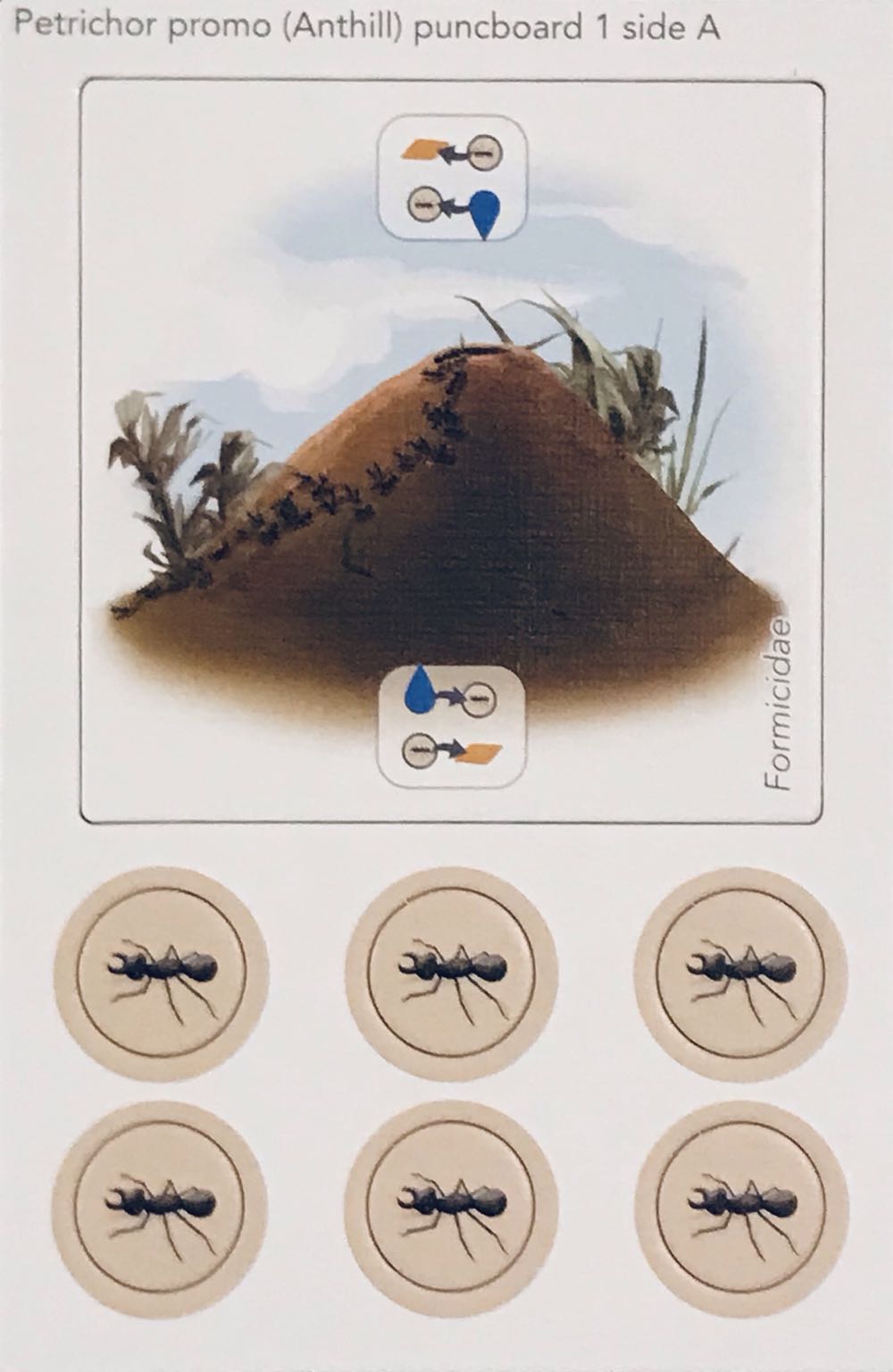 Petrichor: Anthill Promo  (1-5) board game collectible - Main Image 2