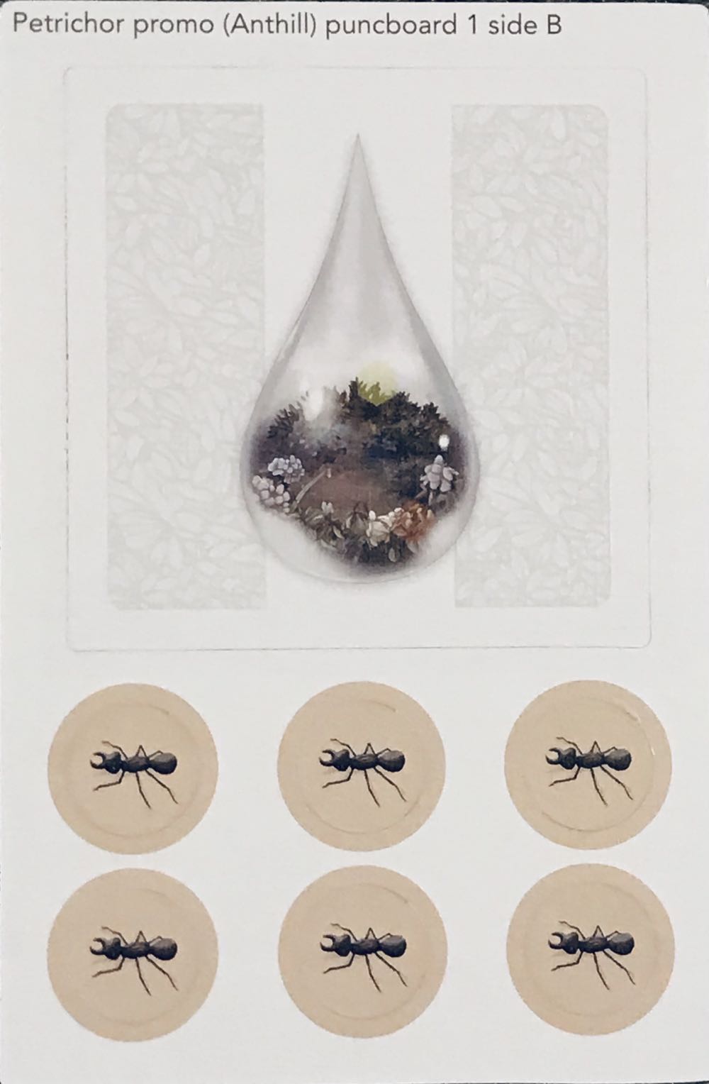 Petrichor: Anthill Promo  (1-5) board game collectible - Main Image 3