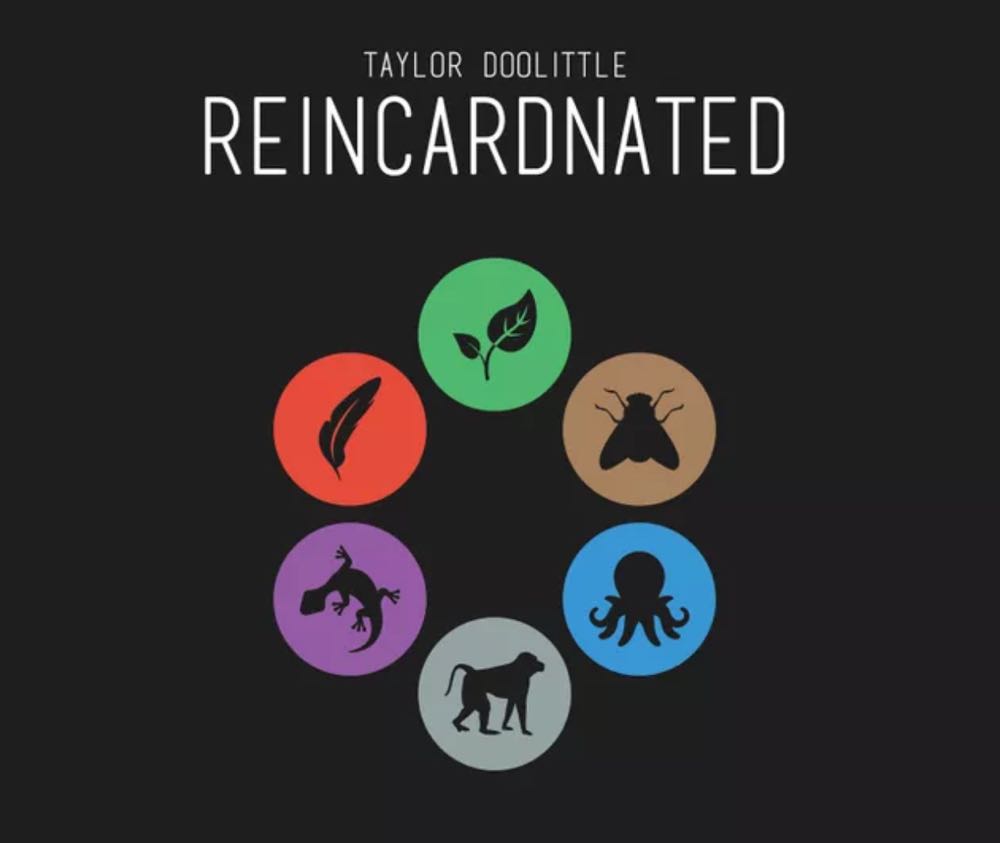 Haba Hammer Time Gem Collecting Dexterity Game Made In Germany