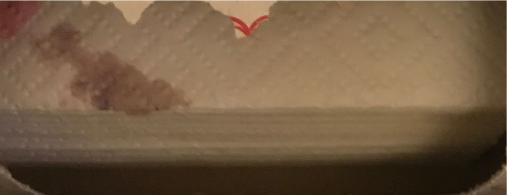 Metallica World Tour