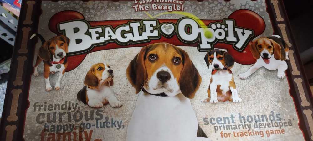 Dgt1001 Universal Chess Clock And Game Timer Black