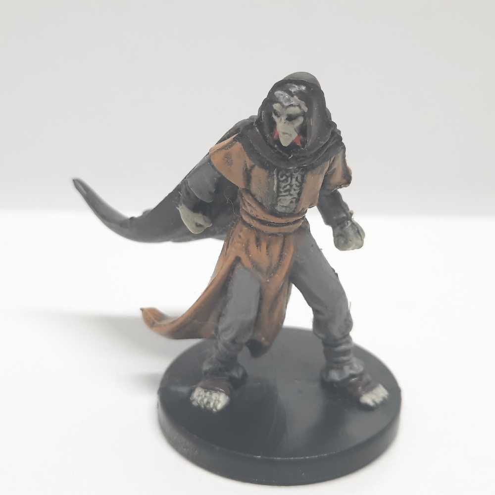 Ticket to Ride: Poland