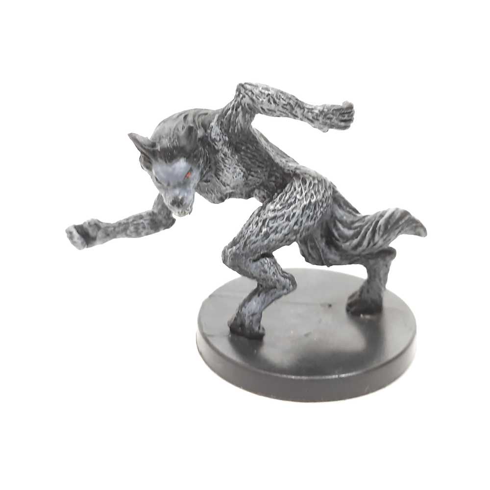 Shark Species Of The World Educational Magnets Learning Materials Sealed New