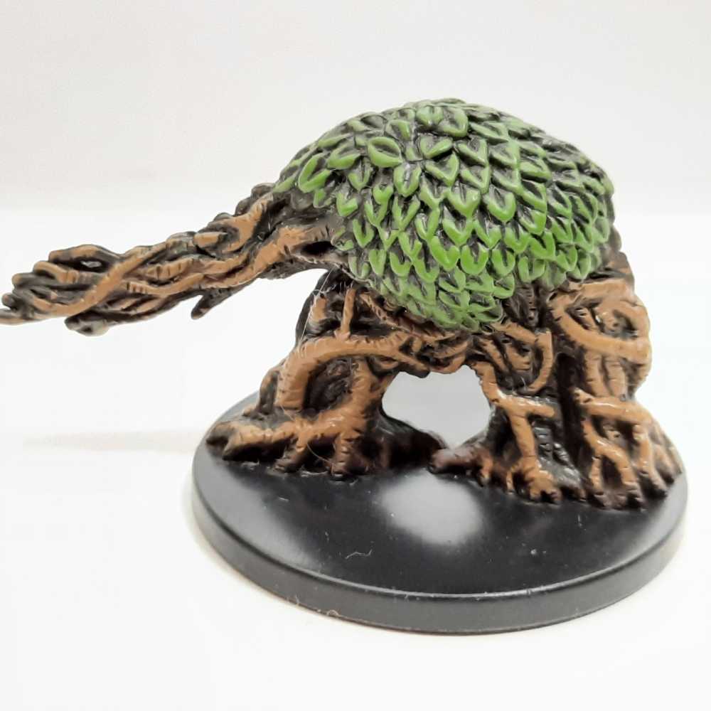 Downtown Farmer’s Market