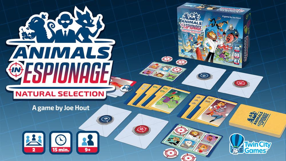 Briscas: Spanish Playing Cards