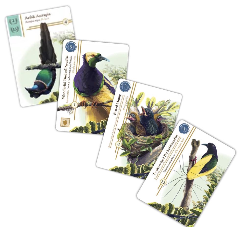 Birdwatcher  (1-5) board game collectible [Barcode 810011723269] - Main Image 4