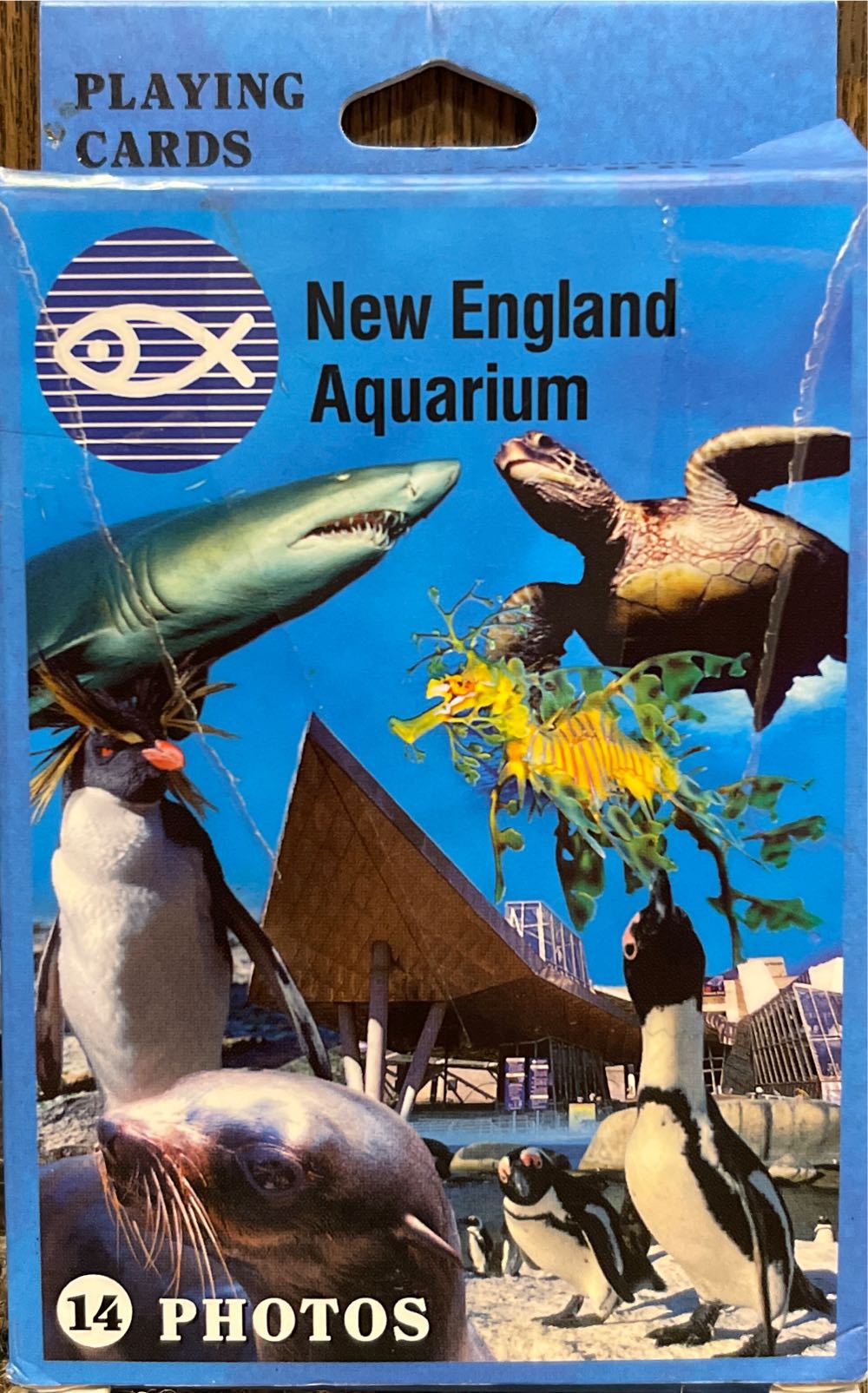 Deadlines Save The Dates