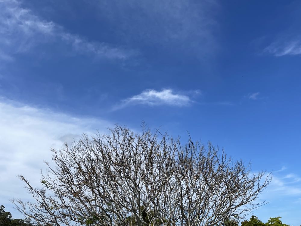 THE GOONIES 25th ANNIVERSARY BOARD GAME & Blu-Ray