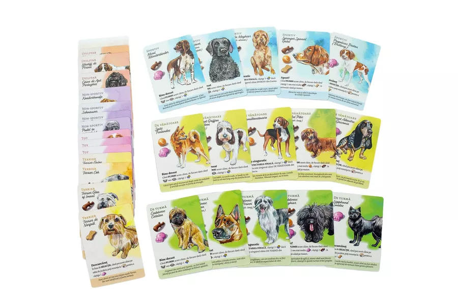 Dog Park: European Dogs Expansion  (1-4) board game collectible [Barcode 5070000321141] - Main Image 3