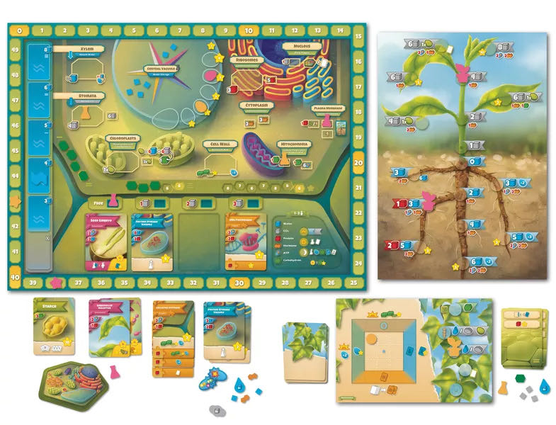 Cellulose: A Plant Cell Biology Game  (1-5) board game collectible [Barcode 745687482960] - Main Image 3