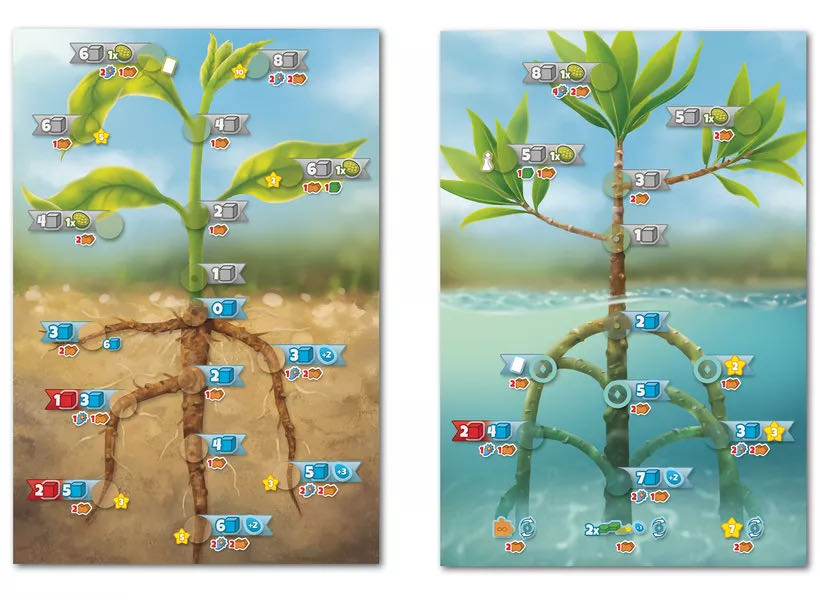 Cellulose: A Plant Cell Biology Game  (1-5) board game collectible [Barcode 745687482960] - Main Image 4