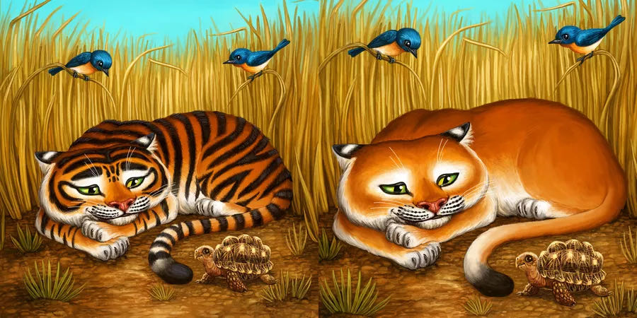 Tiger Stripes  (2-4) board game collectible [Barcode 852990002393] - Main Image 3