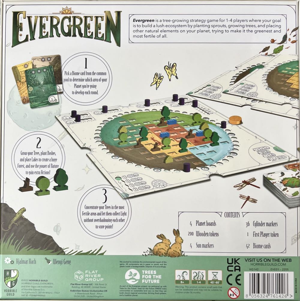 Evergreen  (1-4) board game collectible [Barcode 8056324761426] - Main Image 2