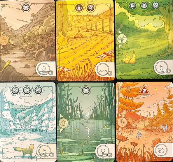 Evergreen  (1-4) board game collectible [Barcode 8056324761426] - Main Image 3