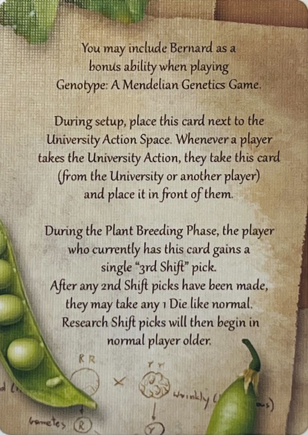 Genotype: Bernard  board game collectible - Main Image 2