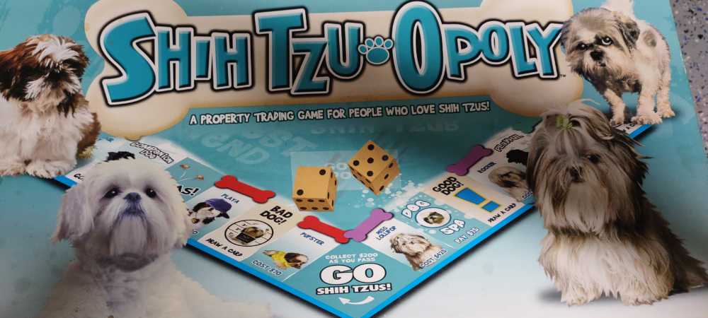 Conan: Adventures in an Age Undreamed Of - Conan The Adventurer