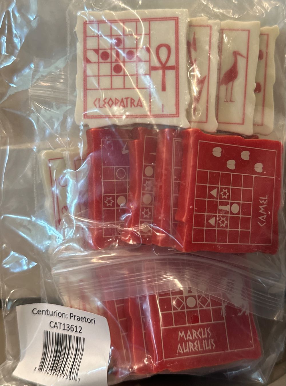 Shadows in the Forest