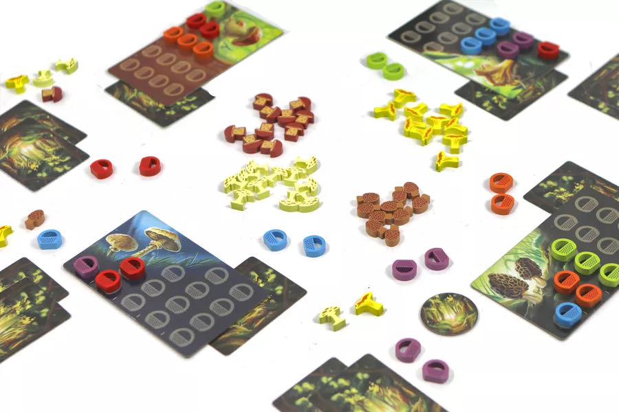 Wonder Woods  (2-5) board game collectible [Barcode 803979090610] - Main Image 3