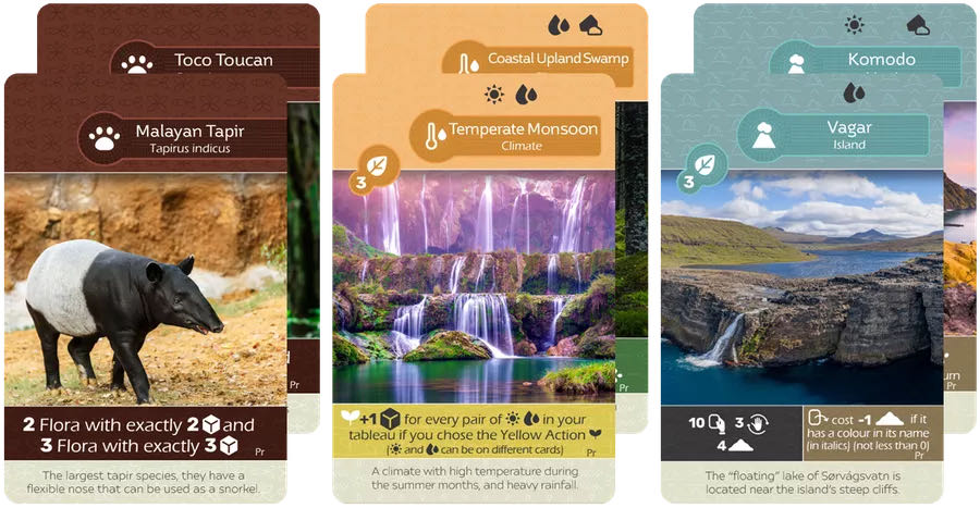 After Us Fr Catch Up Games{}cat059af