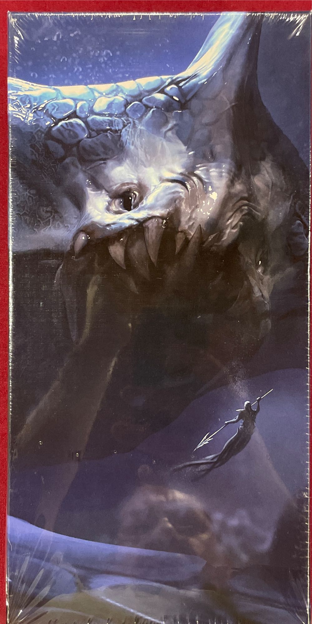 Pete The Cat Groovy Words Scholastic Bingo Sight Words 