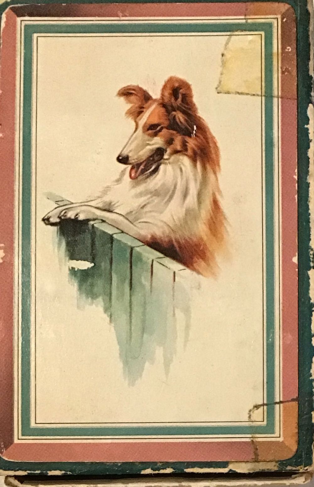 Bride To Be Party Scene Bachelorette