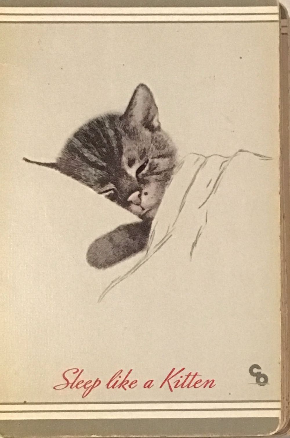 Bandai | Digimon Card Game: Starter Deck Dragon Of Courage St15 | Card Game | Ages 6 | 2 Players | 30 Minutes Playing