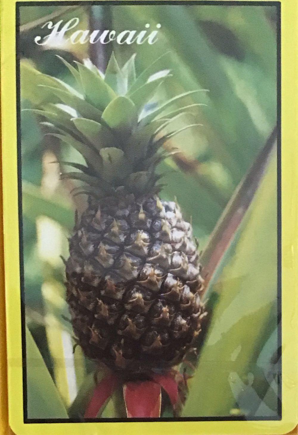 Boîte Info Ou Intox