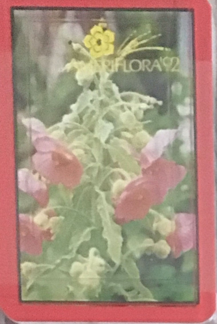 Penny Papers Im Tal Des Wiraqucha