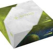 Fugitive: Second Edition