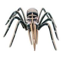 Super Trunfo - Dinossauros