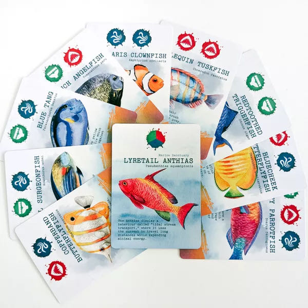 Pacific Ocean  (1-3) board game collectible [Barcode 628942715143] - Main Image 4