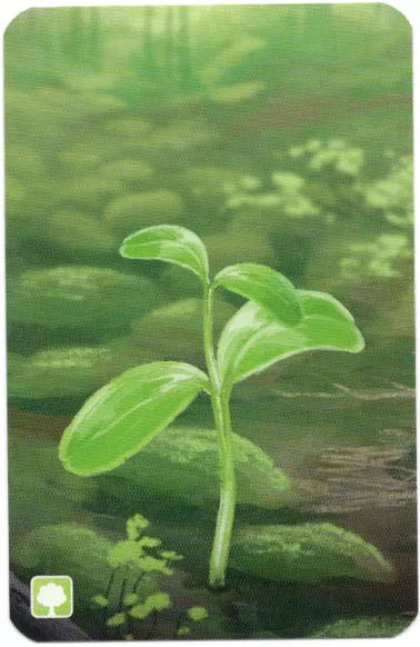 Forest Shuffle: Der Spielbox Promo P003  (2-5) board game collectible - Main Image 2