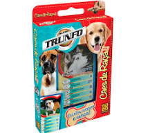 Marina Bay Sands Edition