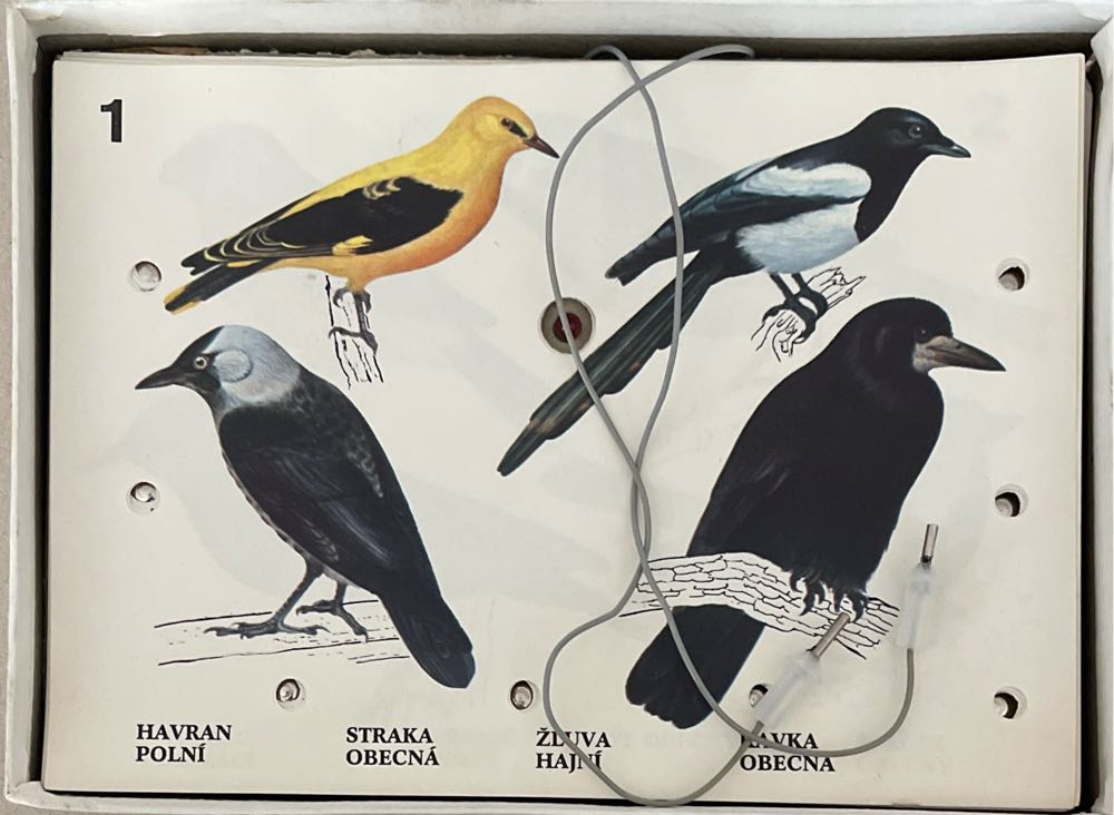 Ptaci 1 V Okoli Vaseho Domova  board game collectible - Main Image 2